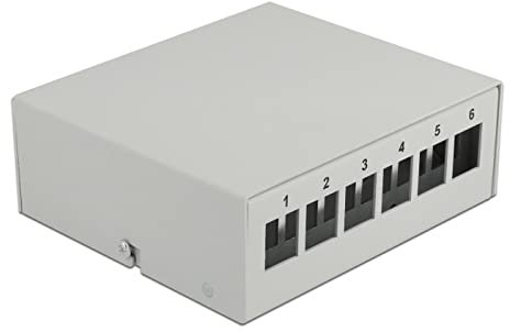 Delock Keystone Panneau de Brassage 6 Ports Gris