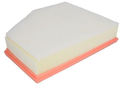 FILTRON AP 028/8 Filtro aria motore Cartuccia filtro
