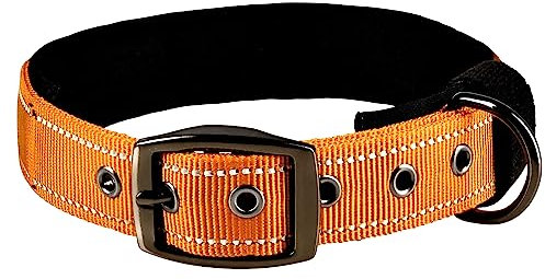 ADITYNA Hundehalsbänder für kleine Hunde – gepolstert, sehr bequem, weiches Neopren, reflektierend, strapazierfähig – Orange, kleines Halsband