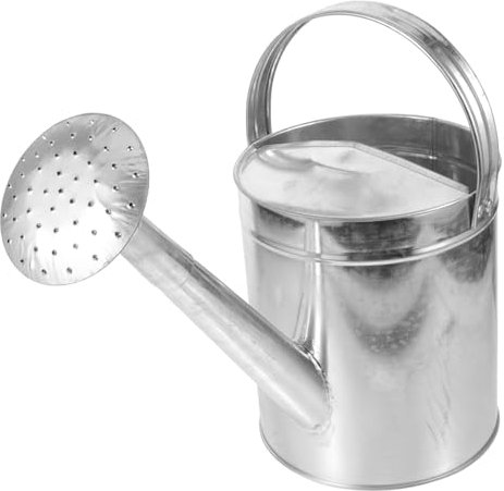 ifundom Arrosoir pour Plantes Intérieur avec Bec Verseur Et Poignée Ergonomique pour Arroser Plantes Ou Au Jardin