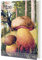 Postkartenbuch Pilze, Postkarte Ansichtskarte, Pilz, Herbst