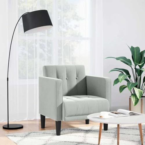 Teenpull Sessel mit Armlehnen Hellgrau, 53 cm Samt, Gemütlicher Akzentsessel für Wohnzimmer, Schlafzimmer, Leseecke, Max. Belastbarkeit 110 kg, Modernes Design