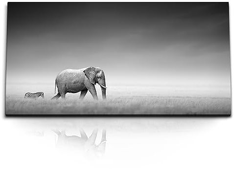 Paul Sinus Kunstdruck Bilder 120x60cm Elefant mit Zebra Schwarz Weiß Tierfotografie Afrika