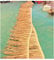 YANGUANG Rouleau de Chaume Toit de Paille 0.5x1-10m Tuile de Chaume de Palmier Fausse Paille Panneau Anti-âge Ignifuge pour Extérieur Tiki Bar Pavilion Jardin Décoration de Ferme(Size:5m/16.4ft)