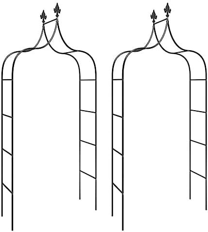 vidaXL Arches de Jardin 2 pcs Noir 120x38x260 cm Acier, pergola de Jardin, tonnelle de Jardin, Arche de Jardin en métal, Arche de Rose