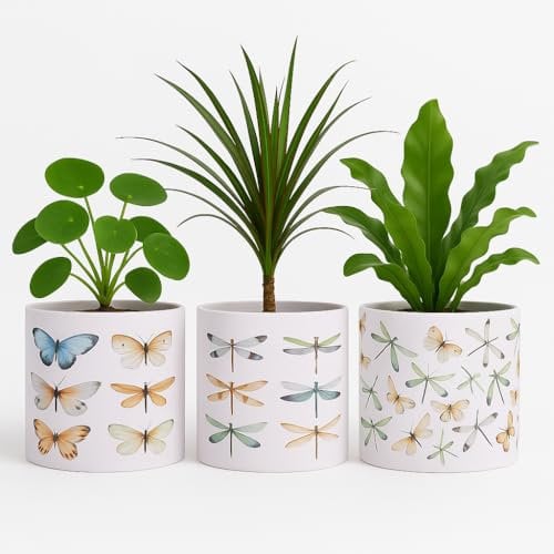 Muddy Hands Set of 3 Butterfly Dragonfly Ceramic Planters Indoor Home Decorative House Plant Pot Cover Holder