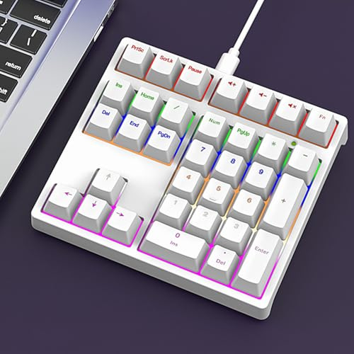 LICAEVEY Mechanical Number Pad, 34 Keys Blue Switch with RGB Backlit, USB C Plug and Play Wired Numeric Keypad for Laptop Desktop PC Programming and Gaming (White)