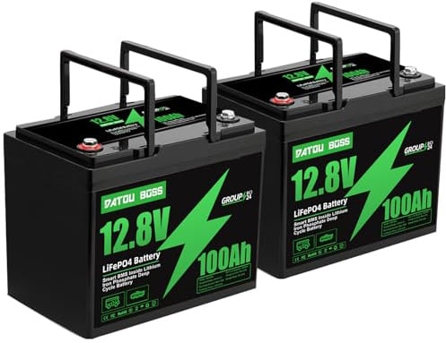 DATOUBOSS 12V 100Ah LiFePO4 Batterie 2er Pack, 1280Wh Lithium Akku mit 100A BMS, über 15000 Zyklen, Erweiterbar in Serie/Parallel, Solarbatterie für Wohnmobil, Camper, Boot & Off-Grid Systeme