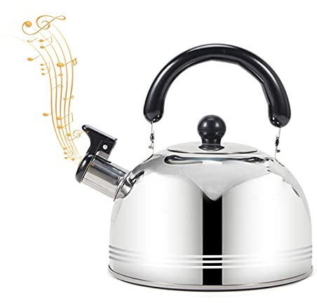 zebroau Bouilloire sur cuisinière, bouilloires sifflantes 2L, Bouilloire en Acier Inoxydable avec poignée Ergonomique en Silicone pour cuisinière à g, cuisinière en céramique, Bouilloire électrique