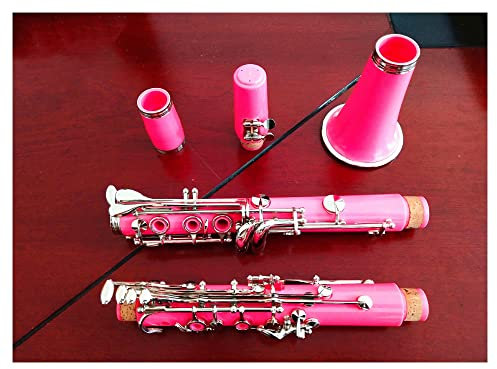 KERREY Klarinette Anfänger Professional School Band Schwarz 17 Tasten Bb-Klarinette (Color : Pink)