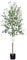 Leflos 150cm Indoor Olivier réaliste, Arbres artificiels pour l'intérieur Seulement, avec Tronc Vivant, Branche Ajustable et Olives dodues, 1-pièce
