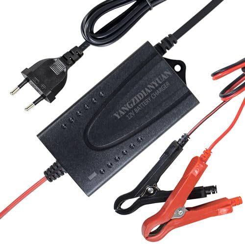 Chargeur De Batterie 14,6V 1,5A LiFePO4, Chargeur De Batterie Au Lithium 12V LiFePO4, Chargeur De Batterie Intelligent 12V pour Voitures, Motos, Voiturettes De Golf, Drones, Bateaux De Pêche, BMS