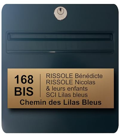 Plaque boite aux lettres personnalisable - 24 x 10 cm - 5 lignes - Numero de maison exterieur - Etiquette boite aux lettres - Nom - Famille - Entreprise - Plaques d'adresses (Or Mat)