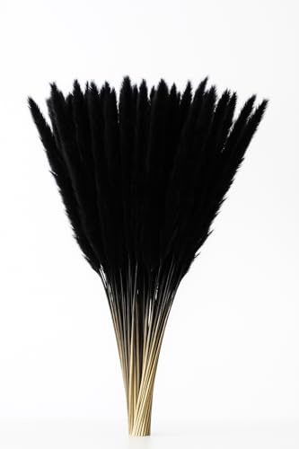 Fresh Plants Pflanze - Set mit 5 schwarzen stabilisierten Pampasgräsern Höhe ca. 85 cm
