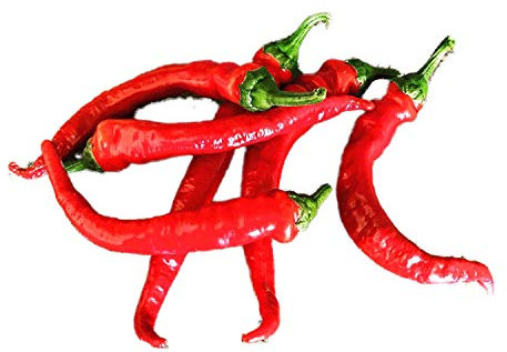 10 Semillas Chile Lombardo by Samenchilishop