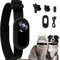 Fiorky Caméra pour Collier de Chien et Chat pour Animal de Compagnie, HD 1080p, sans Fil, Pas Besoin de WiFi, pour Chien, Chat, caméra de Nounou avec enregistrements vidéo pour Chats, Chiens