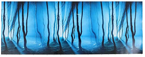 Mipcase Hauszubehör Für Zuhause Aquarium Hintergrund Bild 3D Doppelseitig Fischtank Hintergrund Tapetenkleber Poster Unterwasser Welt Hintergrund Dekoration Terrarien
