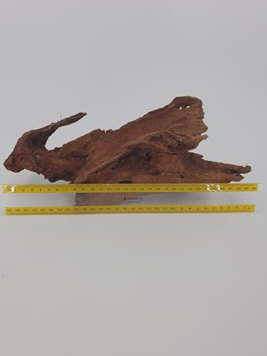 SAHAWA Treibholz Wurzelholz Naturprodukte Deko echte Mangrovenwurzel für Aquarien und Terrarien 25-30 cm Wurzel Mangrovenholz
