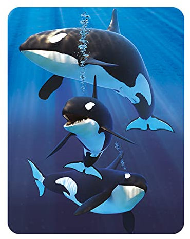 3D LiveLife Magnet - Orca von Deluxebase. Linsenförmige 3D Wal Kühlschrankmagnet. Dekoration für Kinder und Erwachsene mit Kunstwerk lizenziert von bekannt Künstler, David Penfound