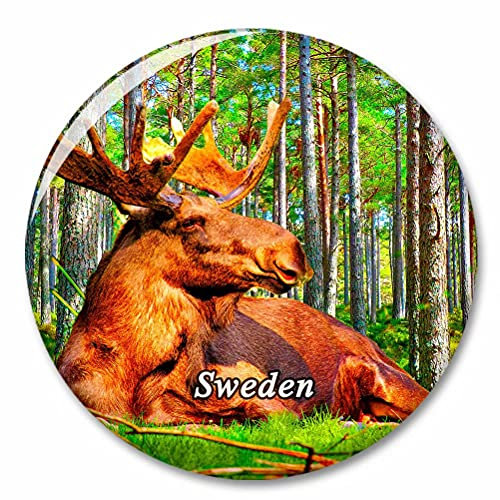 Schweden Elch Kühlschrank Magnete Dekorative Magnet Flaschenöffner Tourist City Travel Souvenir Collection Geschenk Starker Kühlschrank Aufkleber