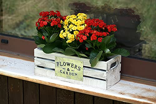 Dekoleidenschaft 3 Pflanzentöpfe in Holzkiste im Shabby Look, Kräutertopf, Zink Blumentopf, Pflanzgefäß, Garten-Deko für Draußen