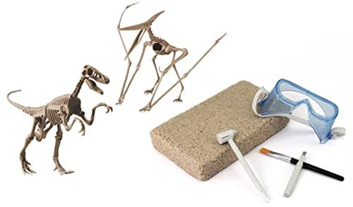 Großes 2in1 Dinosaurier Ausgrabungsset mit Werkzeug Velociraptor und Pterodactylus in schwerem Sandblock