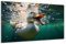 DARO Design - Wand-Bild auf 6mm HDF 40x30 cm Ente unter Wasser - Wand-Deko Bilder Geschenk