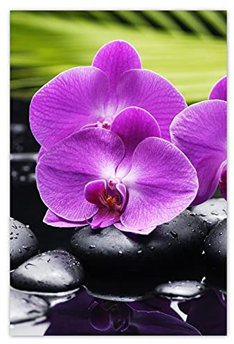 Wandsticker Wandsticker, Orchidee auf Steinen, 62 x 93 cm, Nr. H907