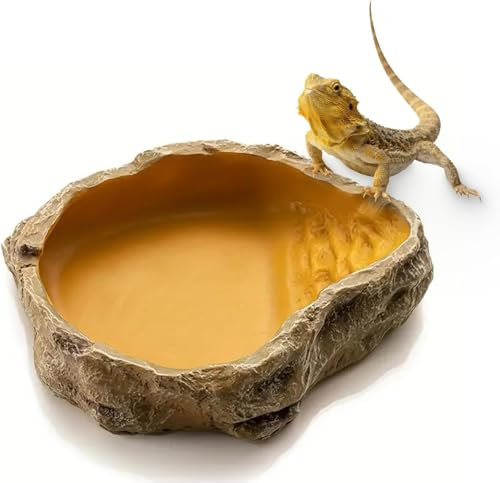 MUYYIKA Wasserschale Terrarium,Schildkröten zubehör,Reptilien Wasserschale, Futterschale,Terrarium Trinkschale, Wassernapf, Schale,Zubehör für Schlange, Schildkröte, Gecko