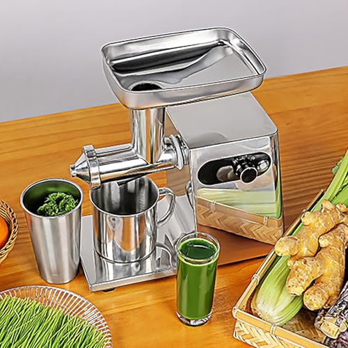Extracteur de jus à vis sans fin en acier inoxydable, 200W, usage professionnel, à basse vitesse, avec 2 tasses, éjection automatique de la pulpe, large goulotte d'alimentation