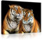 Forwall - Leinwand Bilder - Tiger Afrika Tiere - 100x75 cm Leinwandbilder - Bild auf leinwand - Wandbild XXL groß Wandbilder für Wohnzimmer Schlafzimmer Wohnzimmerbilder Modern