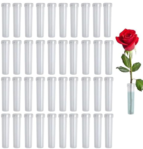 GQunit Blumenröhrchen mit Kappen, 40 Stück für Floristik und Dekoration | Transparente Wasserröhrchen in der praktischen Größe von 7 cm x 1,8 cm zur optimalen Wasserversorgung von frischen Blumen