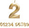 URAQT Birthday Candle for Cake, Birthday Number Candles, 5D Shape, 5.3 inches Gold Glitter Birthday Candles Cake Topper Decoration for Birthday Anniversary Wedding Party Graduation Party(2)