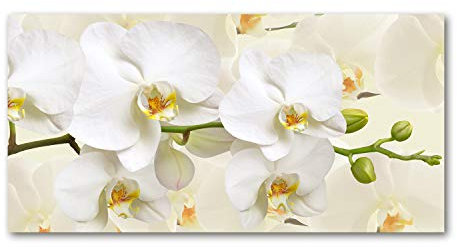 Tulup Glas-Bild Wandbild aus Glas - Wandkunst - Wandbild hinter gehärtetem Sicherheitsglas - Dekorative Wand für Küche & Wohnzimmer 140x70 - Blumen & Pflanzen - Orchidee - Weiß