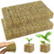 BSTDAYEVER Cubos De Lana De Roca Cubos De Cultivo Hidropónicos 56pcs Cultivo Hidropónico sin Suelo 4 x 4 x 4 cm Bloque de Lana de Roca Buena Transpirabilidad para Siembra Plantación Hidropónica