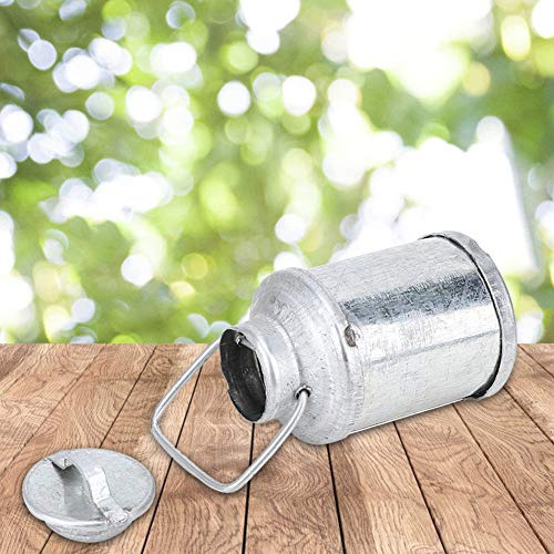 HEEPDD Pot à Lait Miniature en Métal pour Maison de Poupée, Jouet de Décoration en Métal pour Enfants, Parfait pour Le Jeu d'accessoires de Maison de Poupée, échelle 1/12 (Seau à Lait)