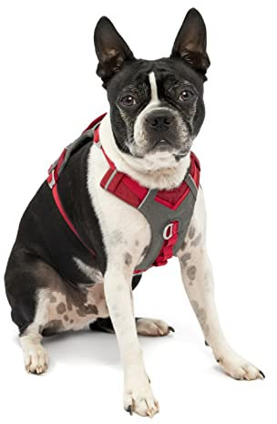 Kurgo Journey Air Hundegeschirr, Mit gepolstertem Brustteil und Rückgriff, Für Hunde von 2-5 kg, Größe XS, Rot/Grau