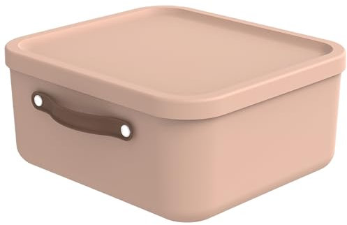 Rotho Maloja Aufbewahrungsbox 20 l, Kunststoff, rosa, 20 (39.5 x 38.0 x 17.7 cm)