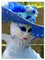 Wandsticker Deko Foto Sticker 100x135cm Venedig Karneval Ball No.H2609M_NS1AR