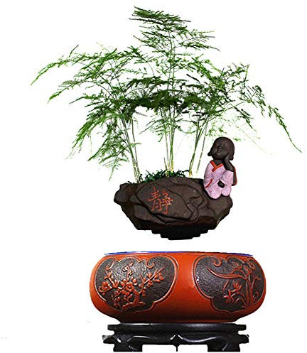 WHR-HARP Pot à Bonsaï à Lévitation Magnétique, Jardinières à Rotation Automatique, Suspension à Lévitation Magnétique, Décorations de Bureau à Domicile - Cadeau Amusant,B