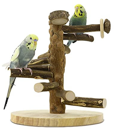 WishesMar Parque de Juegos para Pájaros Gimnasio para Aves Stand Área de Juego con Soporte Perchaspara Agapornis Periquitos Loros, Madera, Tamaño 24.5x22x22 CM