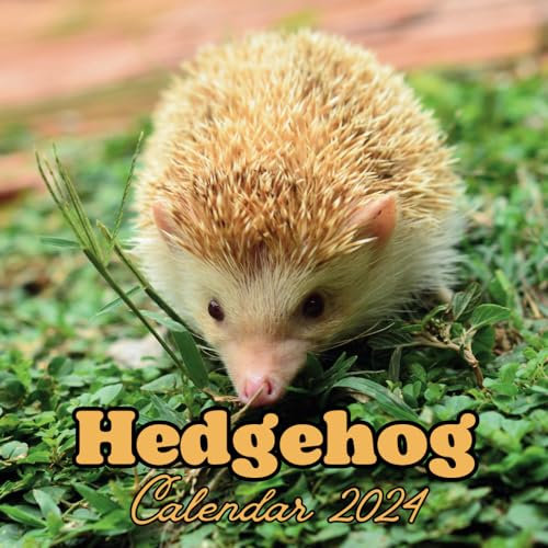 Hedgehog Calendar 2024: September 2023 to December 2024 Monthly Weekly Organizer To Keep Track Of Dates with Amazing Aimals Design