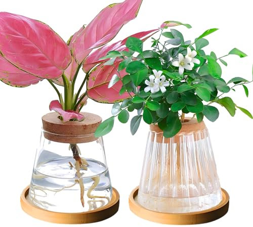 Lot de 2 pots de culture hydroponique en verre avec couvercle en bois et plateau pour plantes hydroponiques, décoration de bureau (ligne et texture brillante)