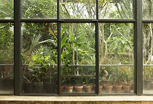 Scenolia Papier Peint Intissé Jardin et Patio Tropical 3 x 2,70m - Décoration Murale Effet Trompe l’Oeil - Revêtement Panoramique Tapisserie XXL - Pose Facile et Qualité HD pour Salle de bain