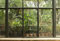 Scenolia Papier Peint Intissé Jardin et Patio Tropical 3 x 2,70m - Décoration Murale Effet Trompe l’Oeil - Revêtement Panoramique Tapisserie XXL - Pose Facile et Qualité HD pour Salle de bain