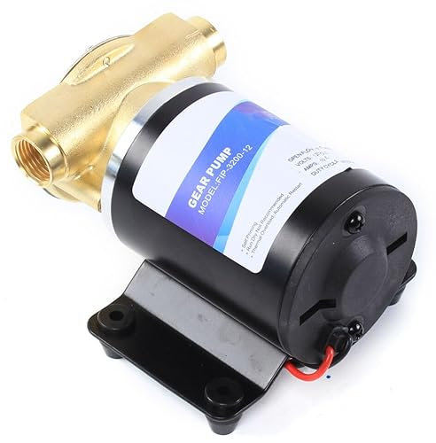Pompa di Sentina Autoadescante 23 L/30 L/min - Pompa Dell'Acqua di Pressione Calda e Fredda, di Copertura e di Aumento Della Pressione