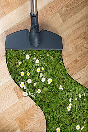 Sandalwood-Die Perlenspieler®Geruchskiller Duftgranulat-Lufterfrischer für Staubsauger, Teppiche, Schränke und Räume -Mit Hängesäckchen für Schränke