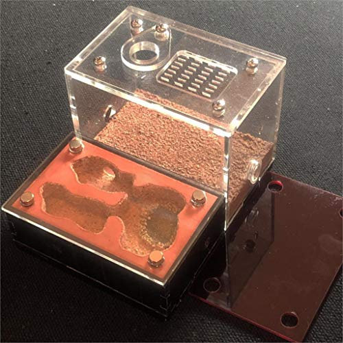 ant grape Formicarium Ameisenfarm DIY Lichtschattierung Ökologische Flache Ameisenfarm Acrylputz Ameisennest Beton Gips Ameisenhaufen Werkstatt Sandburg Ameisenhaus (WITHSAND)