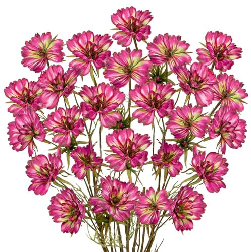 Arborus 5 Stück Herbst Kunstblumen wie echt 71CM Herbstzweige Künstlich mit Blüten Künstliche Kosmos Äste und Zweige Deko Künstliche Blumen für Blumenarrangement Vase Büro Hochzeit Zimmer Herbst Deko