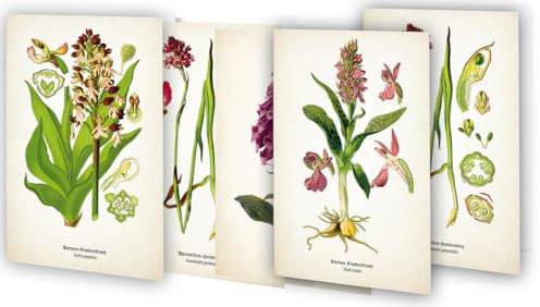 Kunstklappkarten Zauberhafte Orchideen